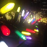 10525874_10205143069196987_6406546388179278136_n